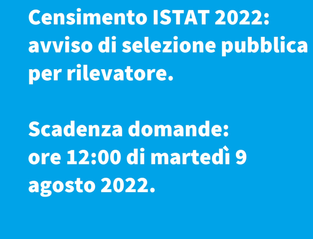 domanda rilevatore ISTAT 2022