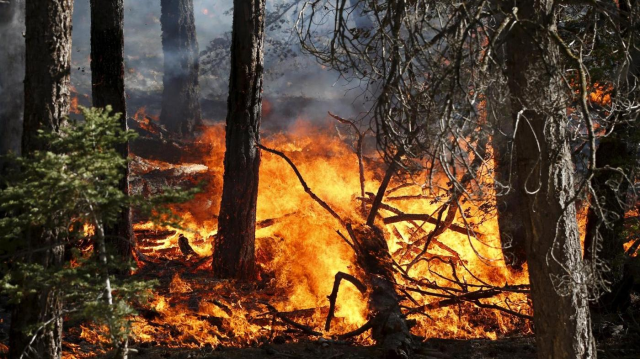Dichiarazione stato di massima pericolosità per gli incendi boschivi