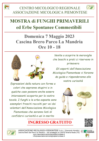 PARCO LA MANDRIA: Mostra di funghi e erbe spontanee commestibili