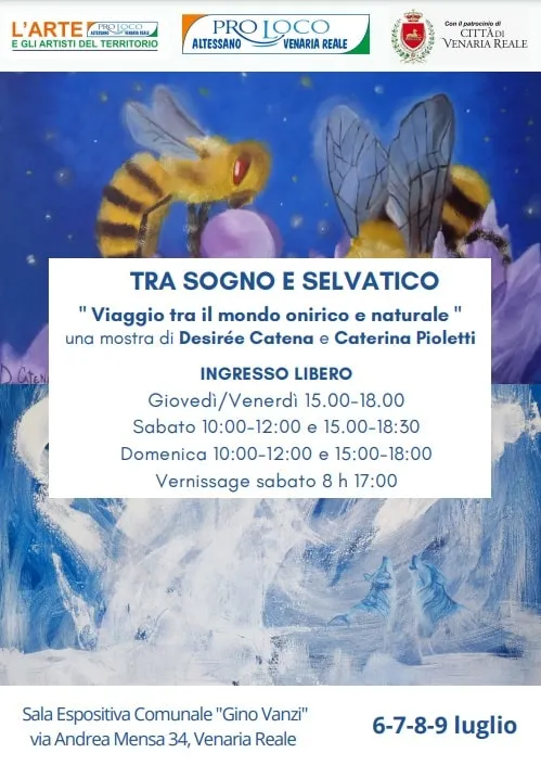 L'ARTE E GLI ARTISTI DEL TERRITORIO: Personale di Pioletti e Catena 