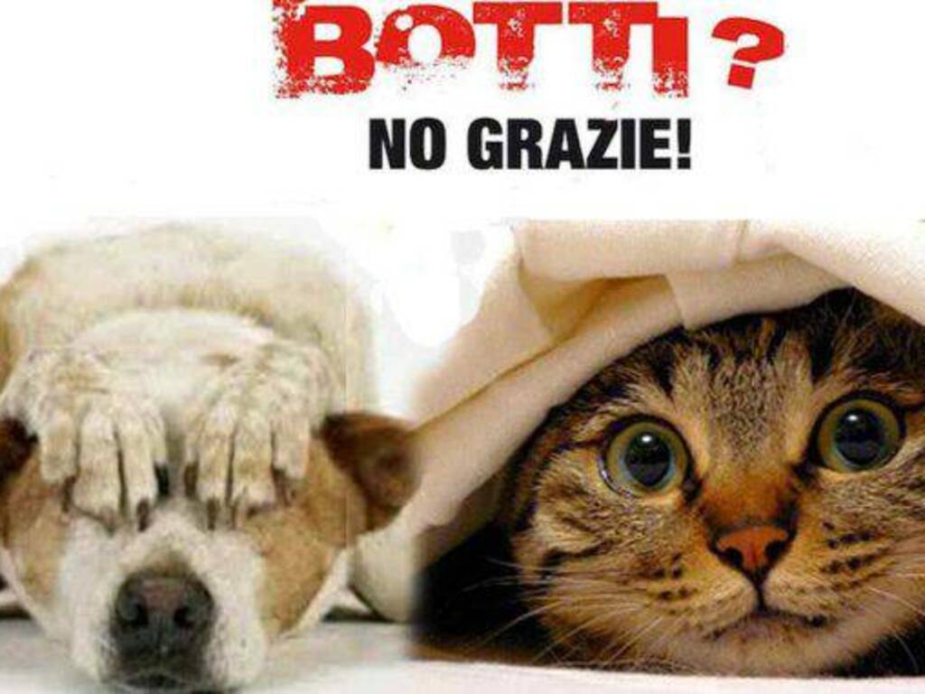 Ordinanza divieto di utilizzo di petardi o artifici esplodenti 