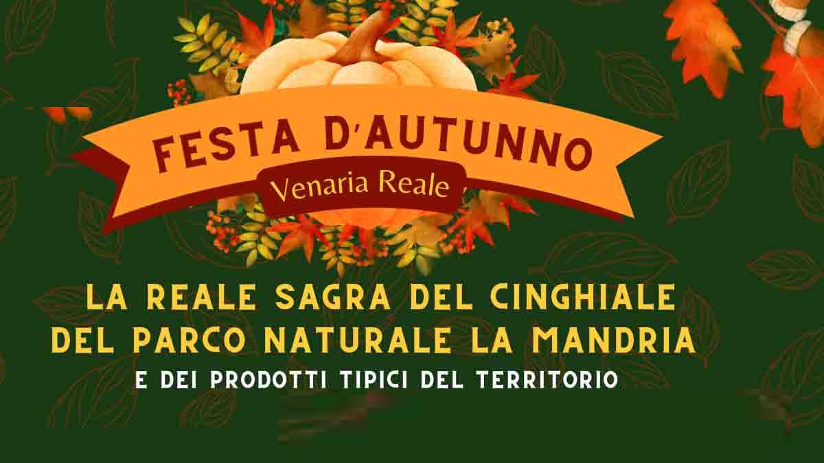 Festa d'Autunno - Sagra del Cinghiale