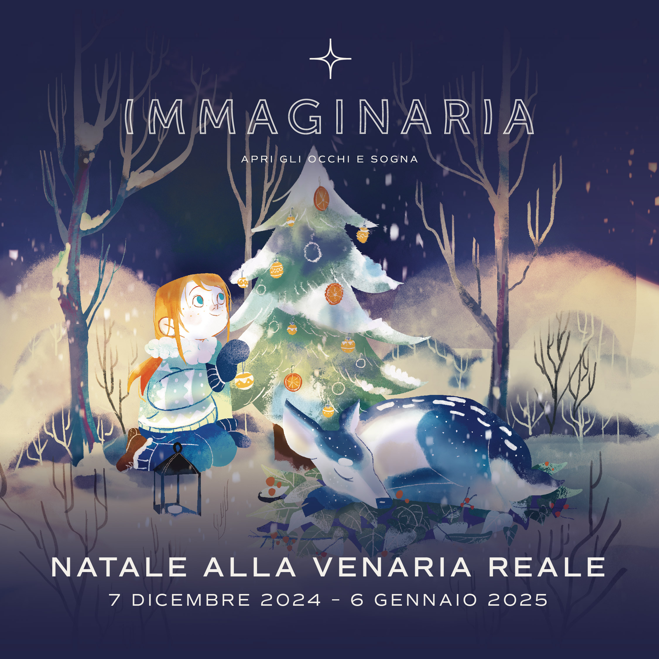 Immaginaria 2024 - Apri gli occhi e sogna. Il Natale a Venaria Reale