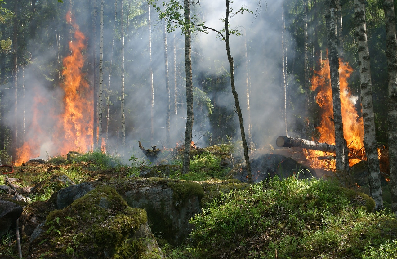 Stato di massima pericolosità per incendi boschivi