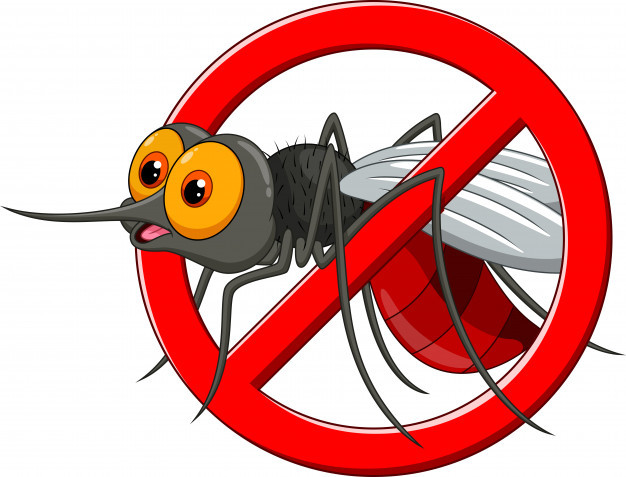Trattamenti insetticidi larvicidi contro le zanzare